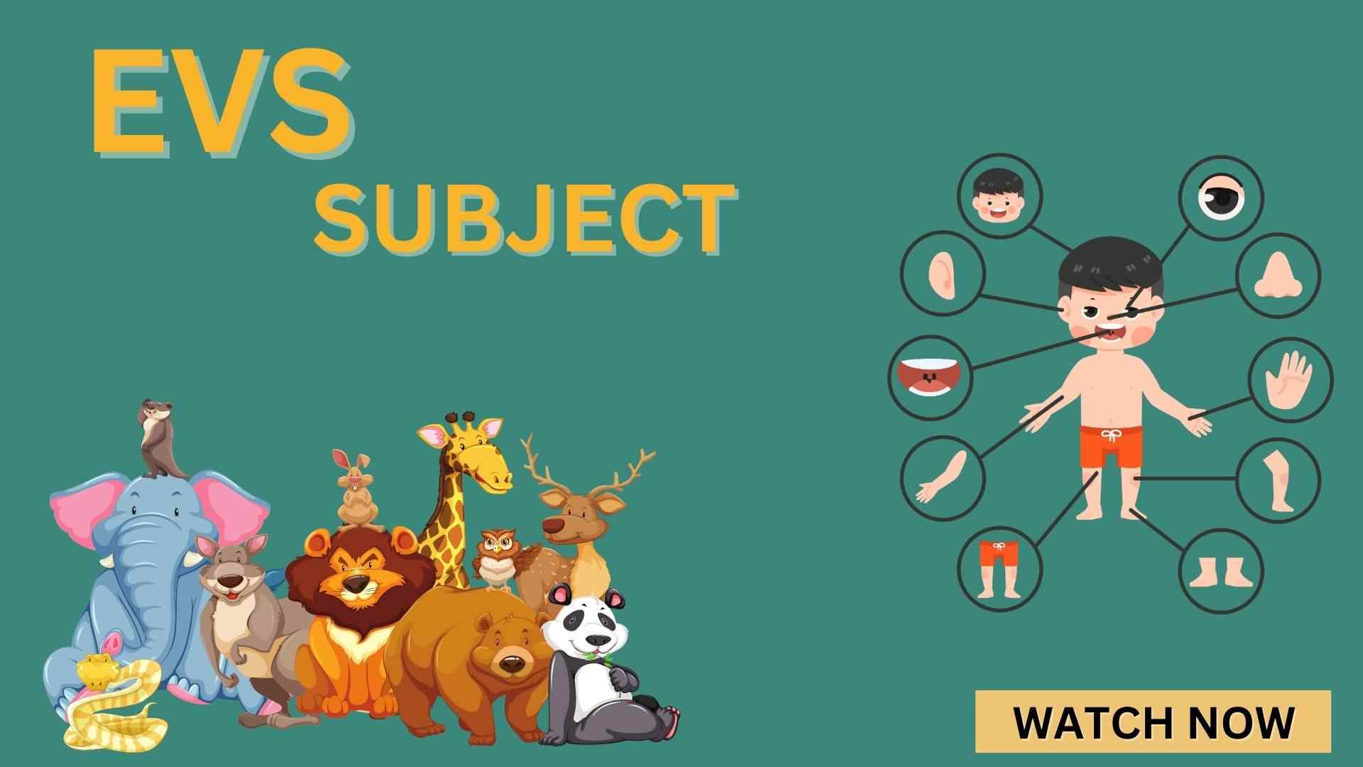 product categories 2